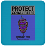 PCRS GEO C