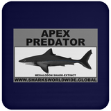 AP MEGALODON C