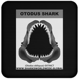 GR OTODUS J C