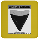 GR WHALE S T C