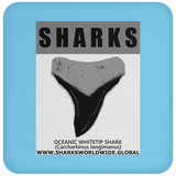 GR SRS T OCEANIC WT C