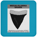 GR MEGALOLAM T C