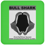GR BULL SHARK J C