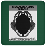 GR MEGALOLAM J C