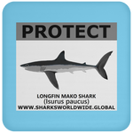 PRS LONGFIN V2 C
