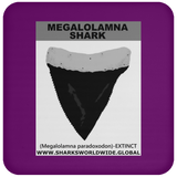 GR MEGALOLAM T C