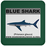 SSP BLUE SHARK C