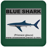 SSP BLUE SHARK C