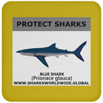 PRS BLUE SHARK V1 C