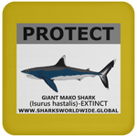 PRS GIANT MAKO V2 C