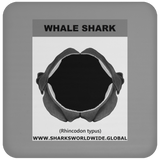 GR WHALE S J C
