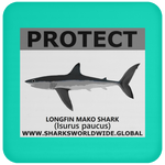 PRS LONGFIN V2 C