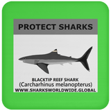 PRS BLACKTIP REEF V1 C