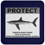 PRS LONGFIN V2 C