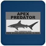 AP G HAMMERHEAD C