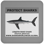 PRS LONGFIN V1 C