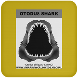 GR OTODUS J C