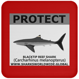 PRS BLACKTIP REEF V2 C