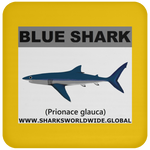 SSP BLUE SHARK C