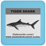 SSP TIGER SHARK C