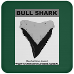 GR BULL SHARK T C