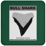 GR BULL SHARK T C