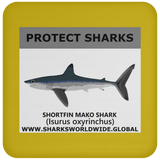 PRS SHORTFIN V1 C