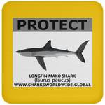 PRS LONGFIN V2 C