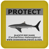 PRS BLACKTIP REEF V2 C