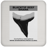 GR BLACKTIP REEF T C