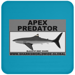 AP BLACKTIP REEF C