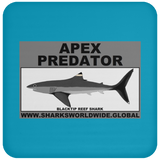 AP BLACKTIP REEF C