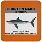 SSP SHORTFIN C