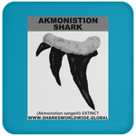 GR AKMONISTION T C