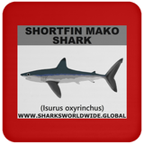 SSP SHORTFIN C