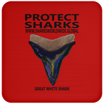 PSKT GWS V4 C