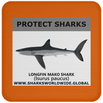 PRS LONGFIN V1 C
