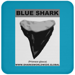 GR BLUE S T C