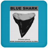 GR BLUE S T C
