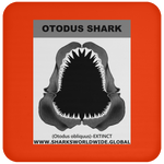 GR OTODUS J C