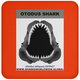 GR OTODUS J C