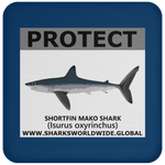 PRS SHORTFIN V2 C