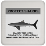 PRS BLACKTIP REEF V1 C