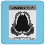 GR OTODUS J C