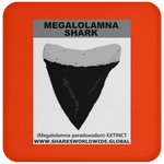 GR MEGALOLAM T C