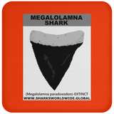 GR MEGALOLAM T C