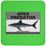 AP GREAT WHITE C