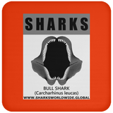 GR SRS J BULL SHARK C