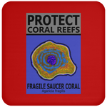 PCRS SAU C