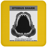 GR OTODUS J C